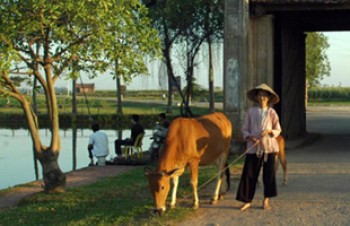 The quaint ride from Bavi to Duong Lam